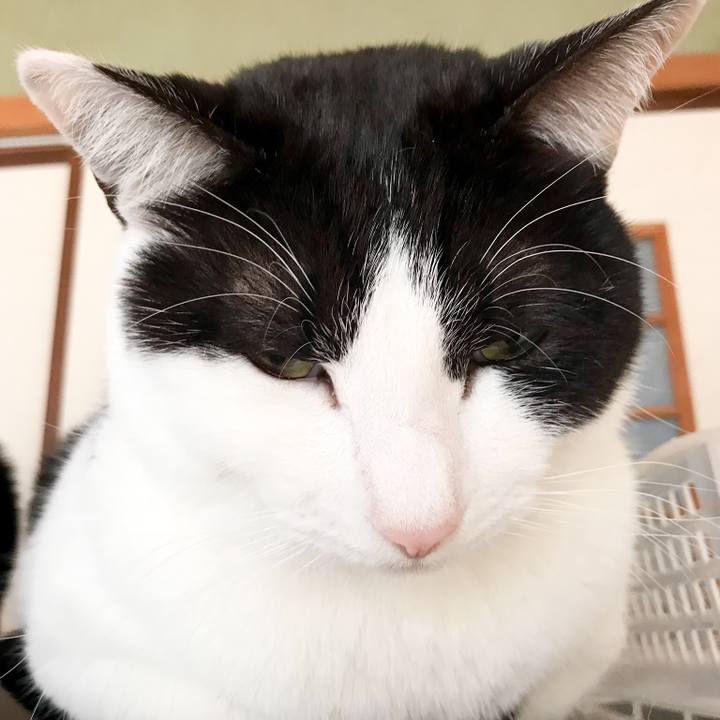 A7cd8813 c75d 4ef5 96ca 773156e8fb6b 1521249200706