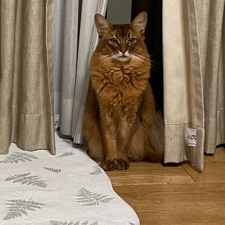 A7cd952c bc16 4686 a24e 58247c1ab63d 1639280959268