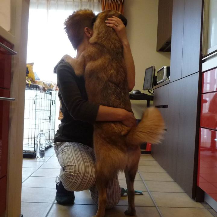 A7cd986a 325f 413c 8a42 c3834f619a08 1576668914253