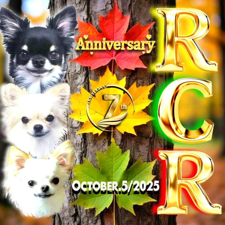 A7cdce8c 5032 42b1 bf7d 51e71ba304aa 1766069327531