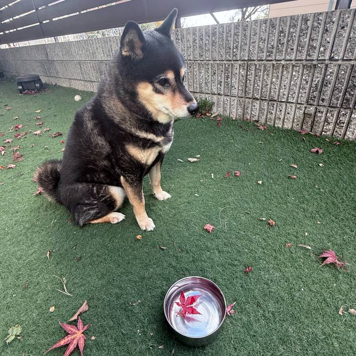 A7ce267c 8957 44c2 8b3c e55c5d868b05 1765497107133