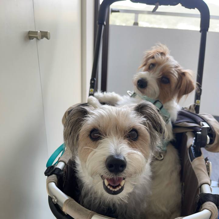 A7ce4ef1 b6b2 410d 9636 e69f20f77cc3 1776037463116