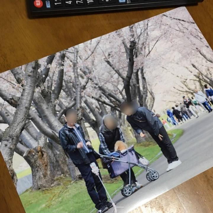 A7ceb66d 7544 4cea 899b b27090f043e1 1533220090659