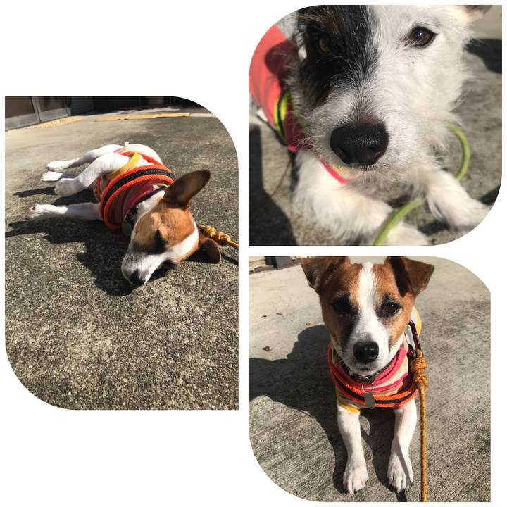 A7cebe94 94cd 4c31 8c6e 3b0d9fc36bc9 1508287018345