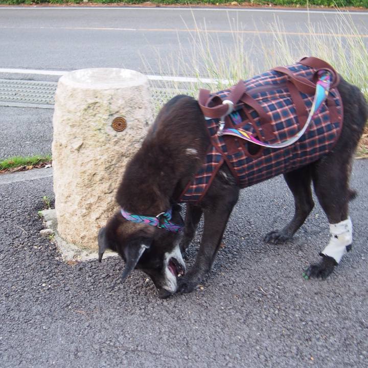 A7cec5b2 3e65 4ef0 938f 65f268b05a71 1510273713181