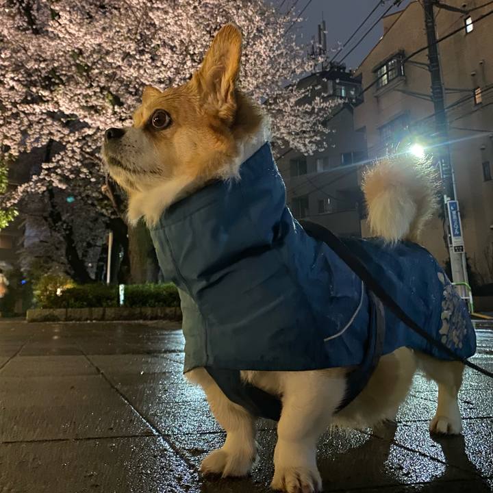 A7ceee03 919c 4fbc ab8d 1233cc103771 1775097476166