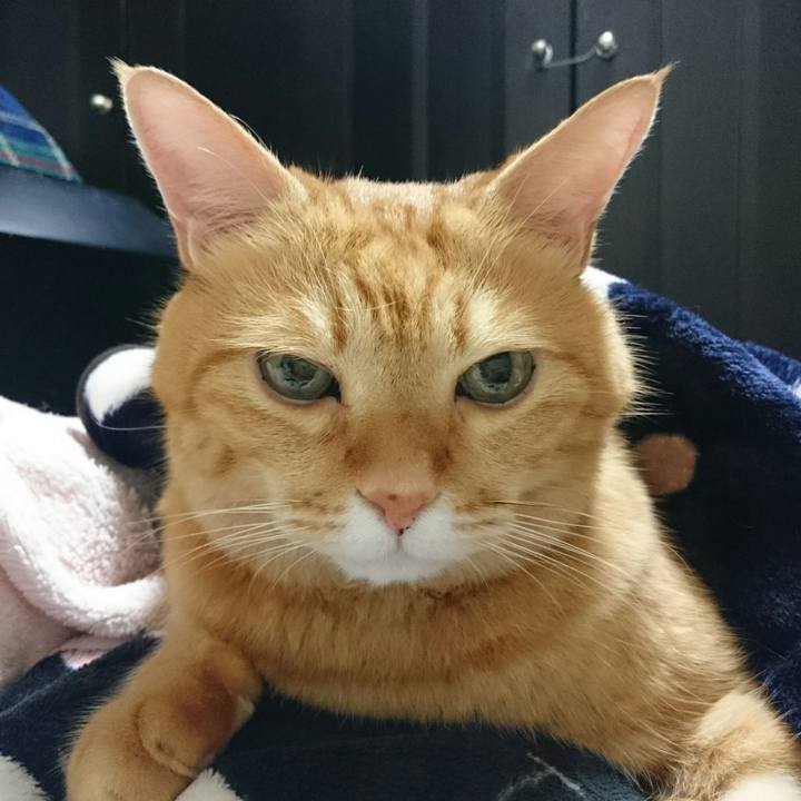 A7cf2006 5f99 4b31 8221 271b076b0443 1510376196012