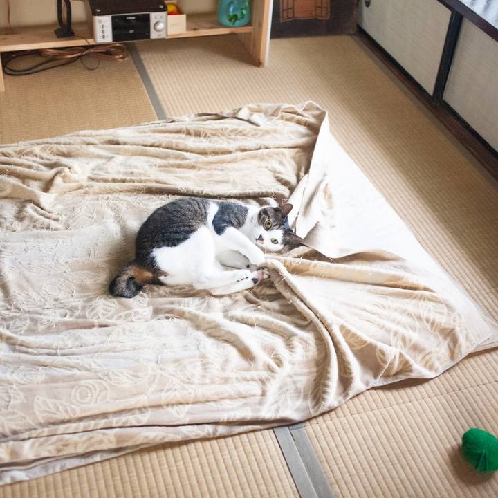 A7cf2896 7b8c 4993 b61f c0026807f192 1595045028216