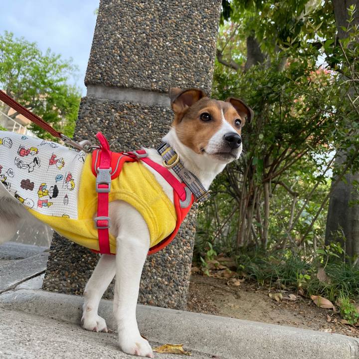 A7cf55b3 0aa0 40ac bcfd 02b9f928d980 1681474649464