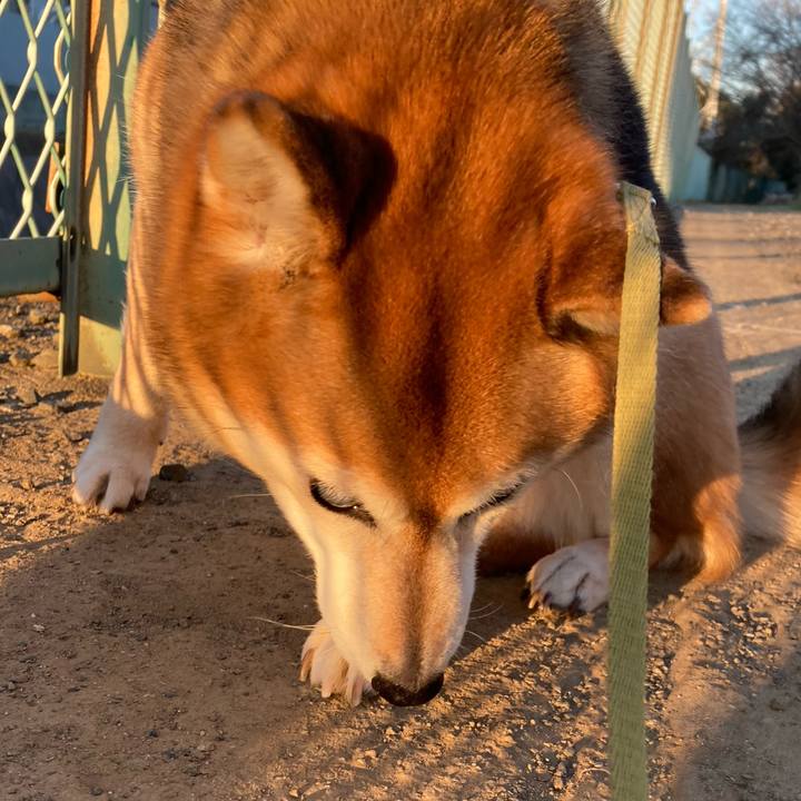 A7cf5d84 e376 4862 b68e b5b47bebb3c0 1674978451742