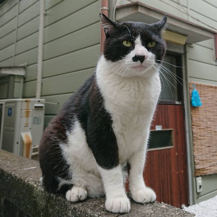 A7cf9a2f f988 458e bf74 8fd043152aa1 1527638755805