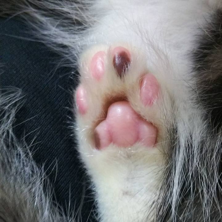 A7cfb58f 7ac9 4c11 b6be 75383f589cfb 1607248334959