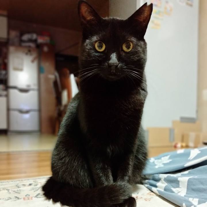 A7cfed12 6b82 4dae ac42 e90dcbfa8b59 1634303558711