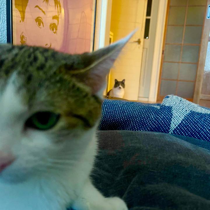 A7cff654 8f55 4f80 b46f 5beaa926ea7d 1627462170485