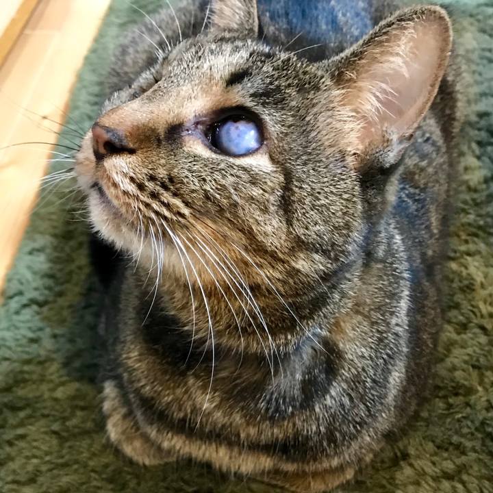 A7d03137 c871 4e20 8dbd 8c284ab763b5 1545213087352