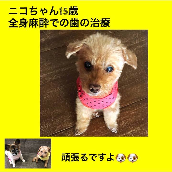 A7d04e0c 94f9 48b2 b1e1 fe6de211a7fb 1562970794372