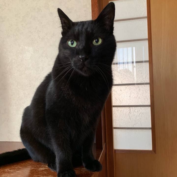 A7d0abda 5e48 40d7 a7b3 190b6a3b24e0 1547690007925