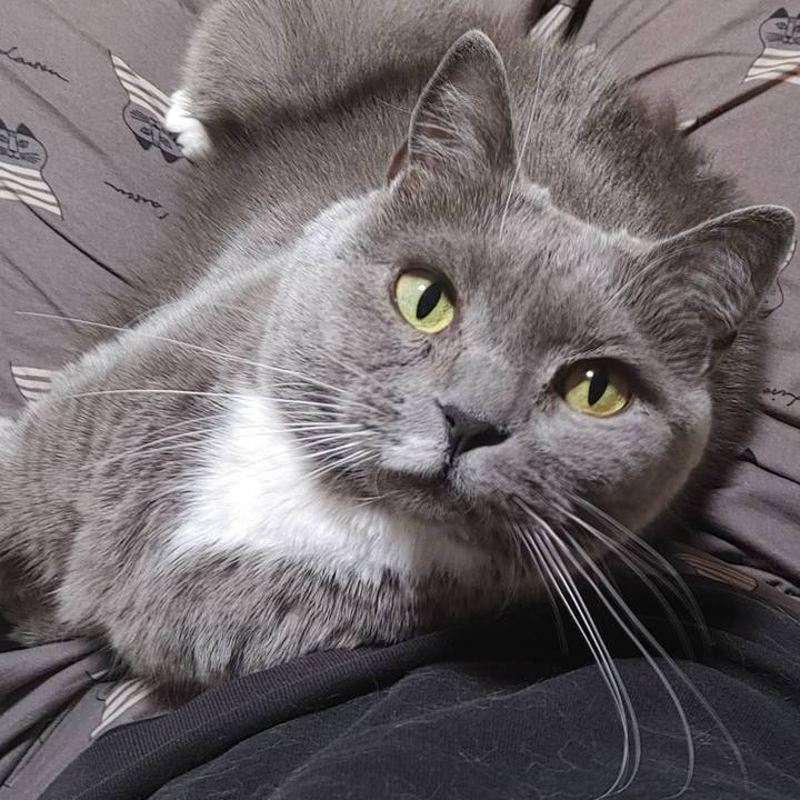 A7d0c1c0 f706 4c96 8c78 046c417bf93f 1772971661247