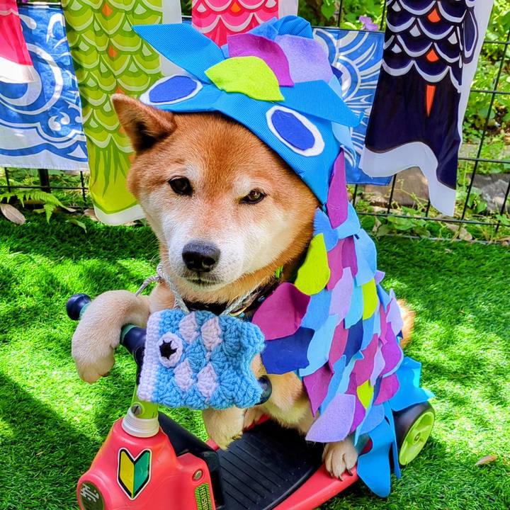 A7d0d5b8 1ff8 4550 b3a8 5e9751bf761b 1746255646219