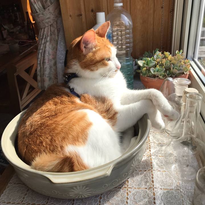 A7d14d65 44a4 42c2 ac17 df35852d48de 1558135069403