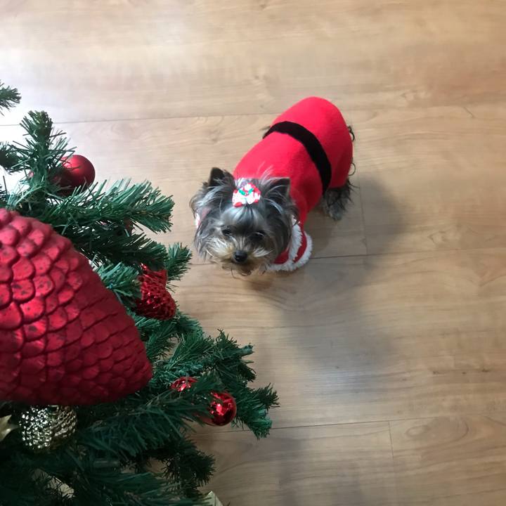 A7d158bf e129 4894 bab2 77dc2481be73 1640410140197