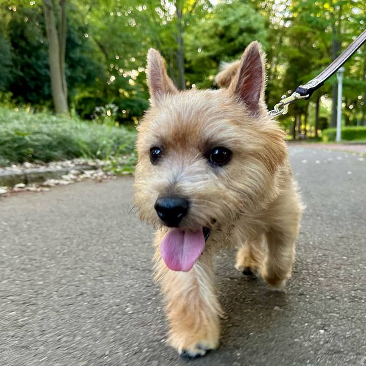 A7d15a00 40c9 4f8e 93f5 a8ff5abeb109 1715443372242