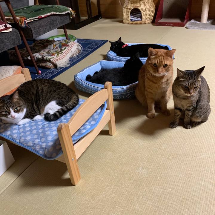 A7d16598 85dd 4681 8ea1 838b2f00af73 1565275089108