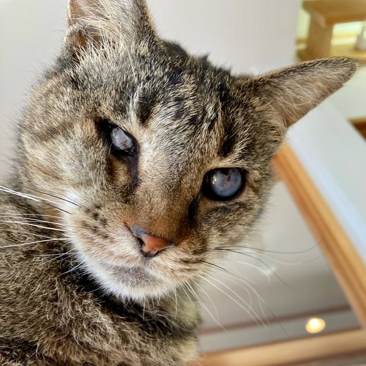 A7d18d9e 7f3f 4f65 accf 3922c8e2c5d4 1677287428780