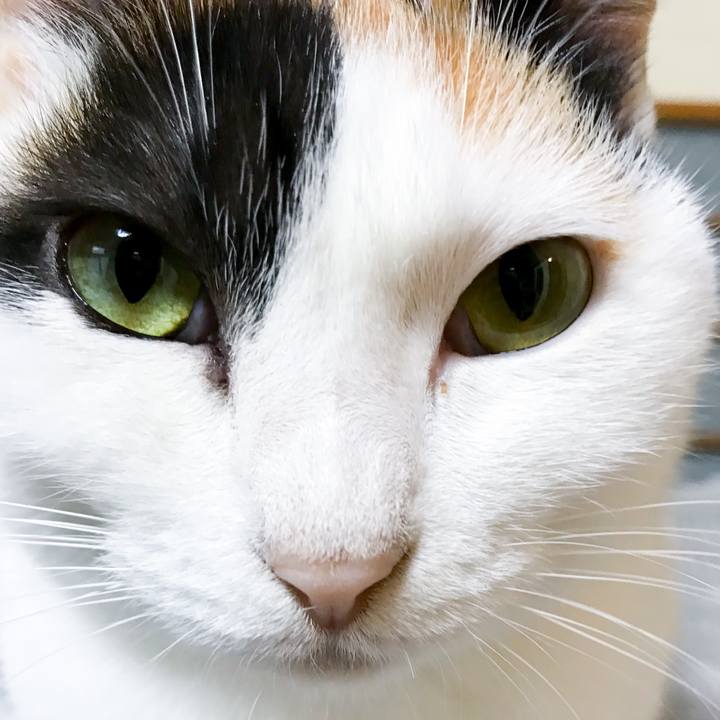 A7d1992c 1445 48a9 a46f 9fc1b2f78f6f 1515195277597