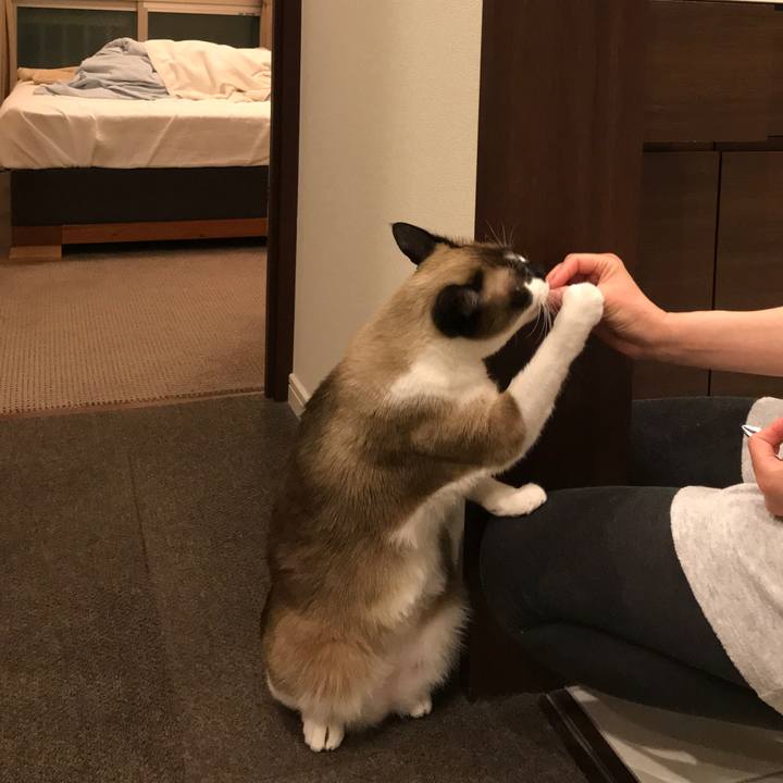 A7d1c5b0 c1e3 4bc0 adf1 3c89b58841e7 1554895732352