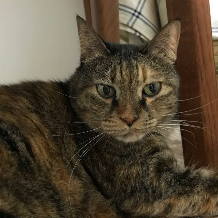 A7d22edf b25c 4f47 98f8 50a191f4b5c5 1515421261735