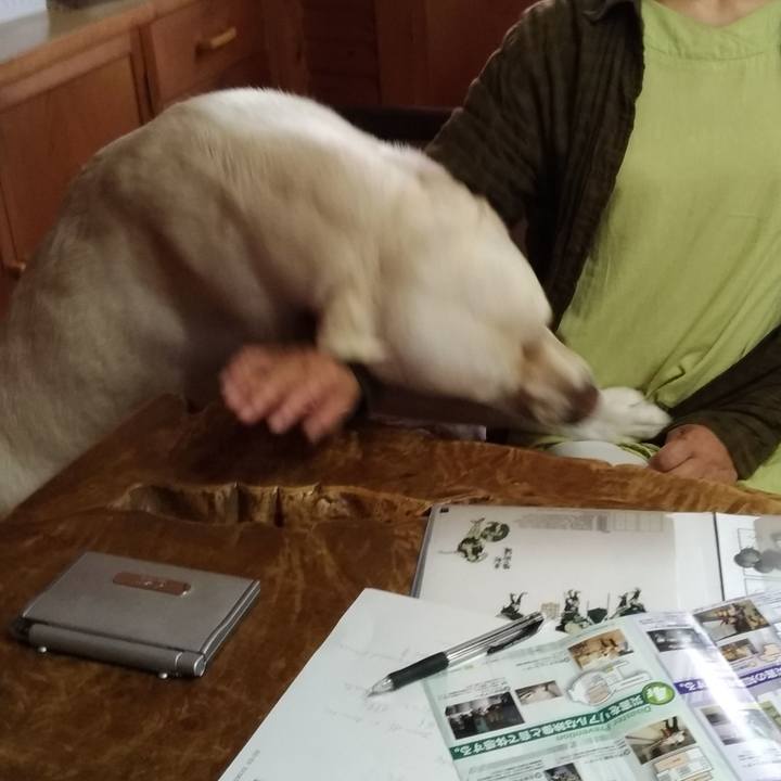 A7d23d74 018e 4a2d 8161 077bba5eab9d 1528764216092