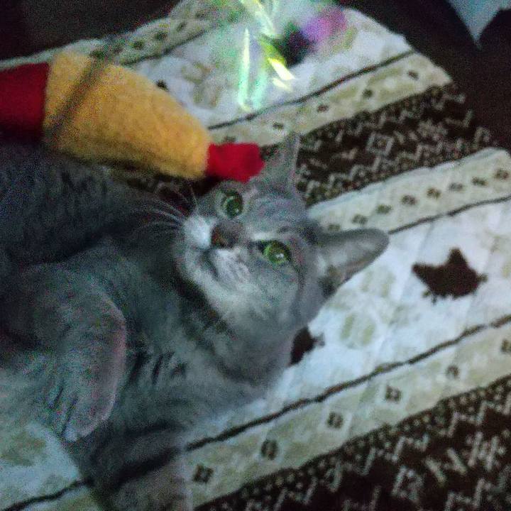 A7d242f1 6dc5 4c7a 9b75 358e5de5c1b6 1675157215706