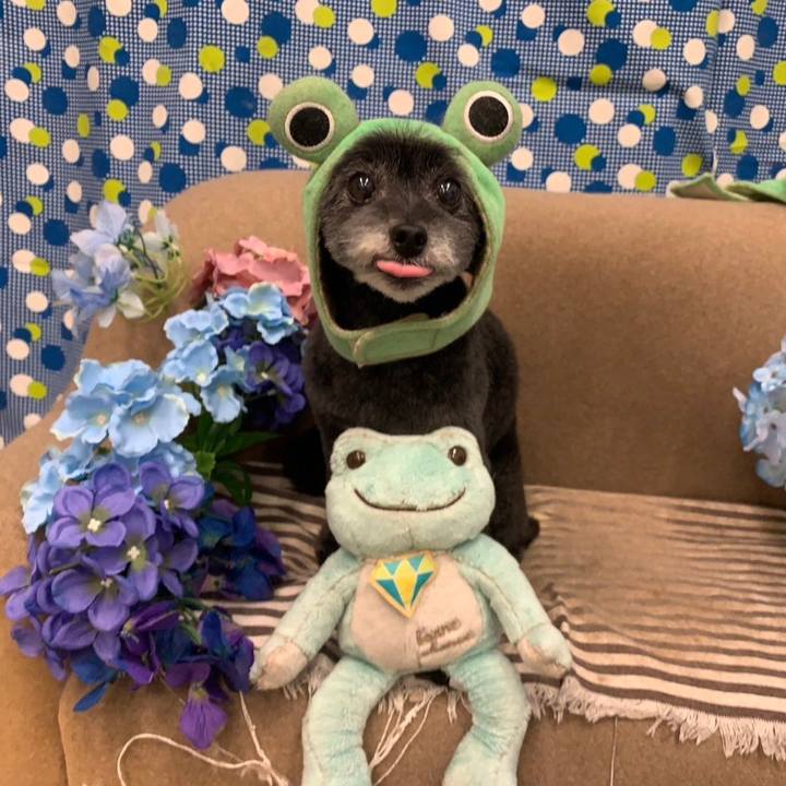 A7d243e7 6b20 4080 a84f 40fe05f60910 1716111089674