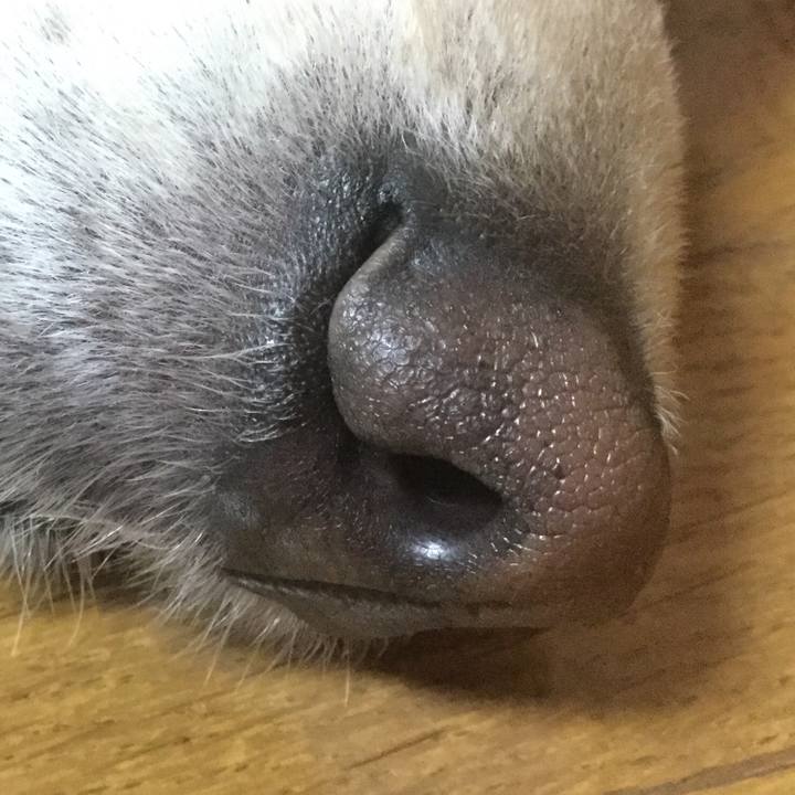 A7d2d0b1 33f9 496b bb5d 9e6a8af76446 1523442569194