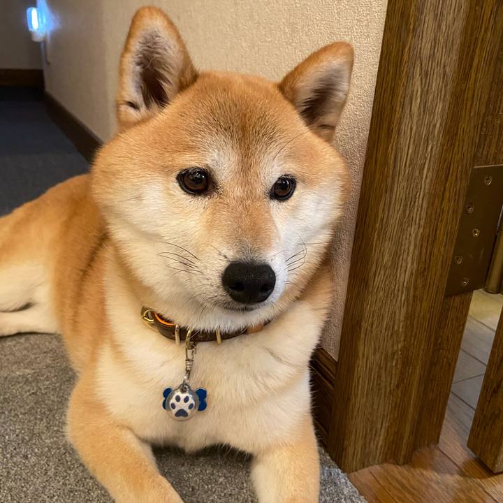 A7d2d63a 2bc6 44ac 95af 1f476415bd23 1604309339400