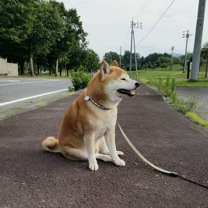 A7d2eb7f 9401 4b34 942b 750d5f80f02e 1623746443574