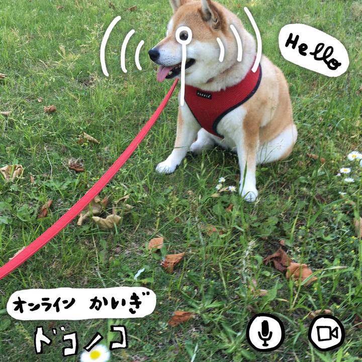 A7d3042e f2f8 487d b000 d409449cae7a 1590739901667