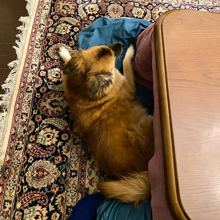 A7d3201a 50dd 4b21 8252 5e03ffa012a1 1764582060634