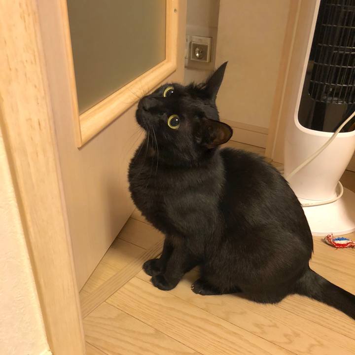 A7d32501 74b3 49b3 859f bb62d57aa370 1529413085963