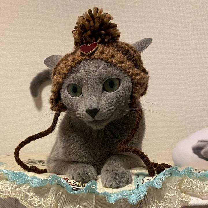 A7d34ac8 6216 4bf2 97d6 dab8fe18a218 1700608404405