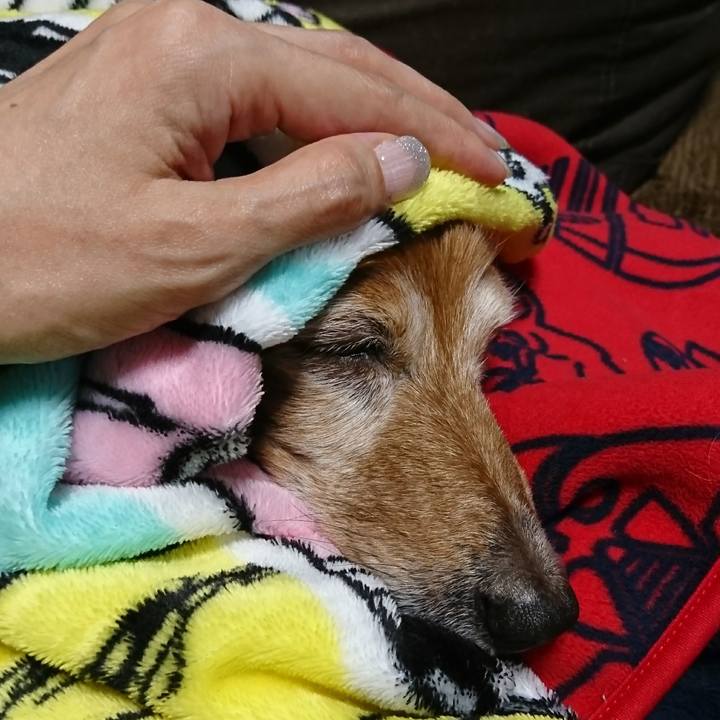 A7d34d60 dd6e 4571 a2f9 1b39f736dd6b 1509059291717