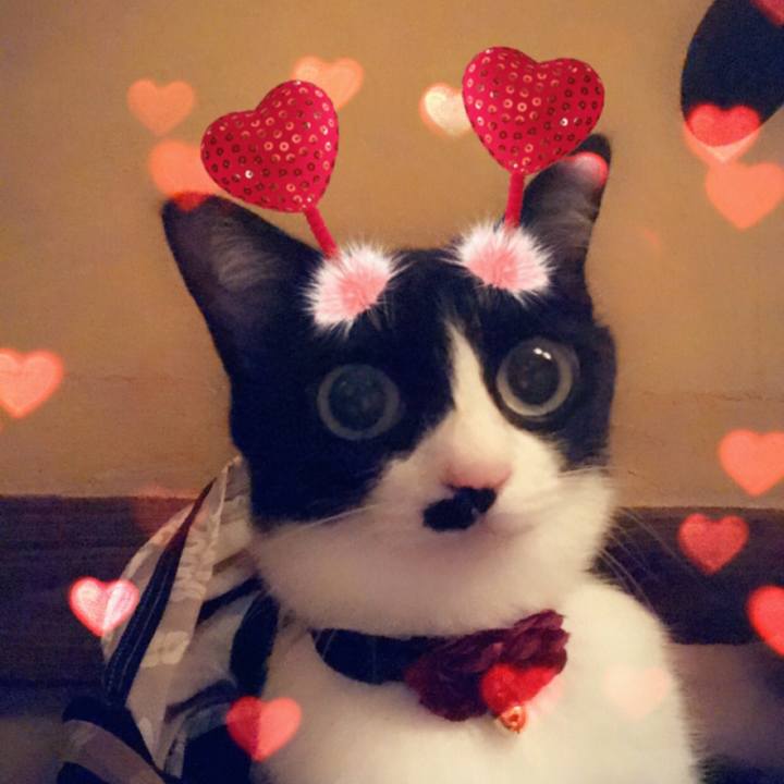 A7d34e68 e32e 42ec 9eb1 80b5951aeccf 1559580316248