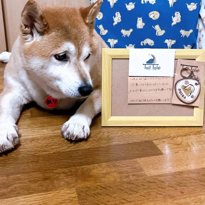 A7d36f30 8a6e 4dd8 9b0f 2a88ef6176c2 1720591573525