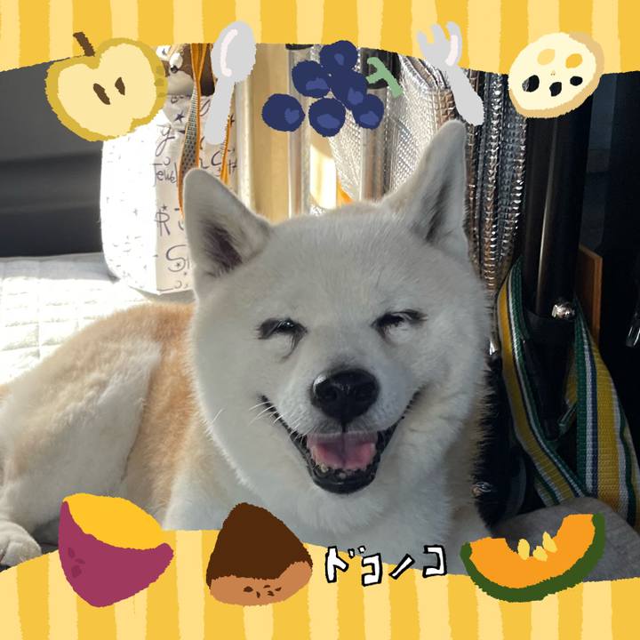 A7d37a30 f32b 44f3 baa4 645898616133 1727390230903