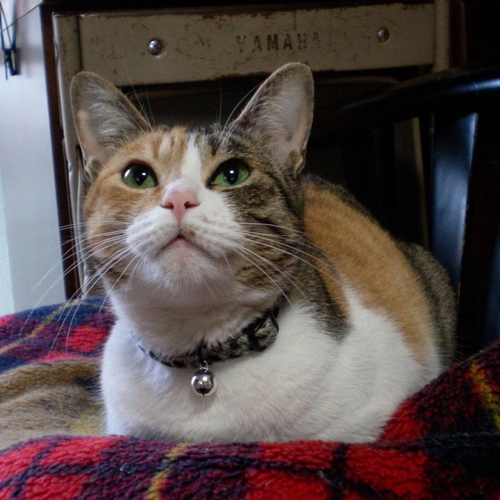 A7d3c303 04ab 4fb1 8b10 84ce62d74805 1540951526027