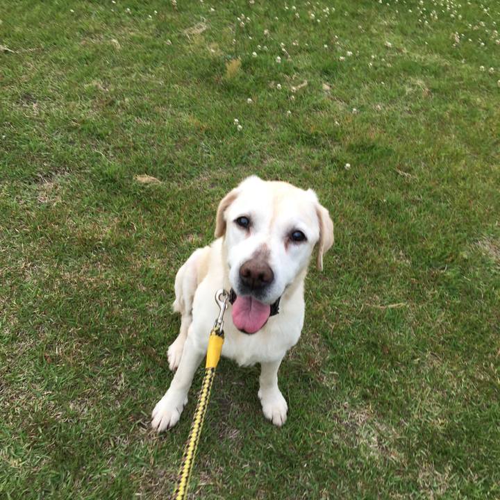 A7d3c7d1 2130 462c 96d7 cde6b7415ff6 1527587013891