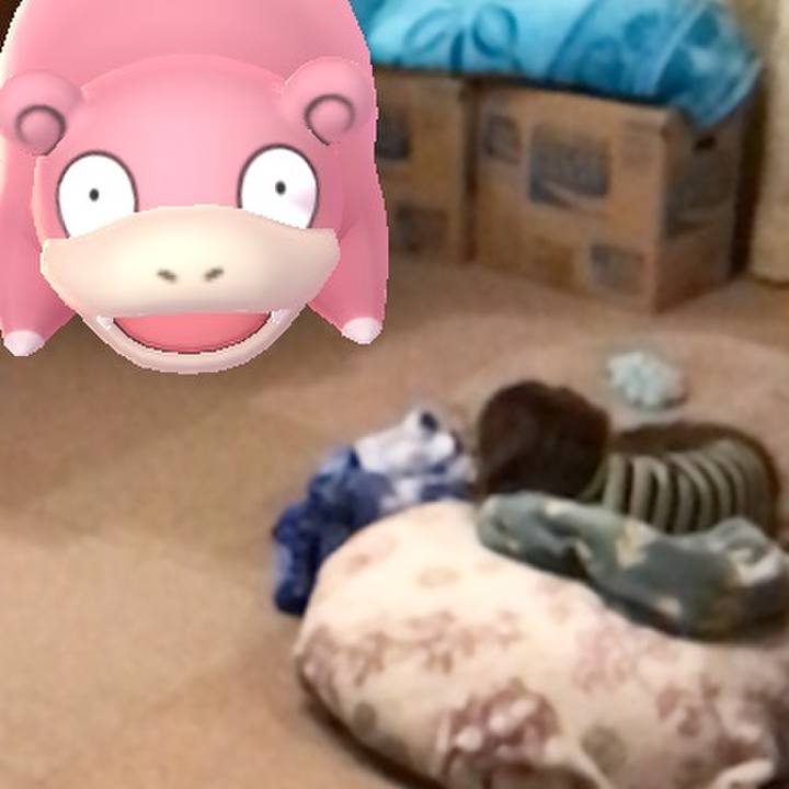 A7d3cb61 080f 4209 aa2b dfed3a68bfc3 1523488951383