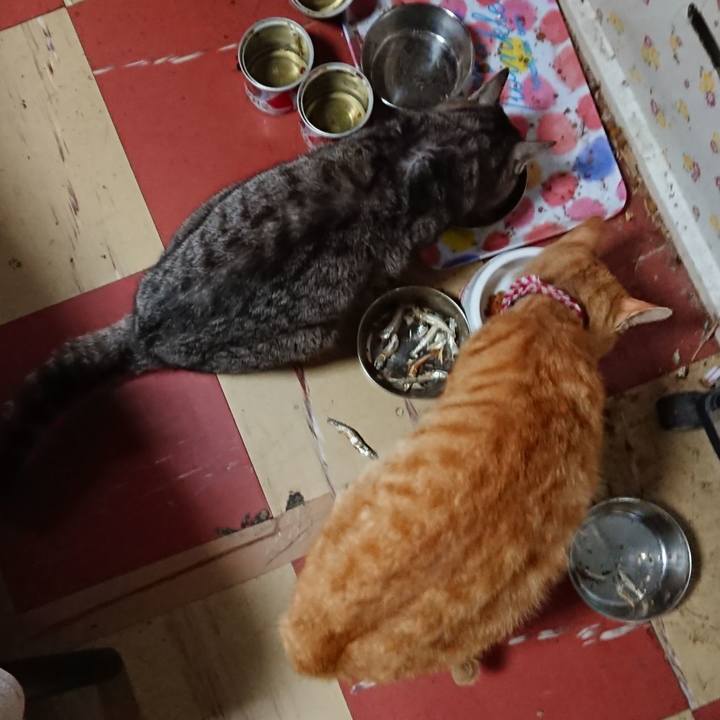 A7d4165a 9644 45d3 b09f fe0b9f3f749b 1558216549281