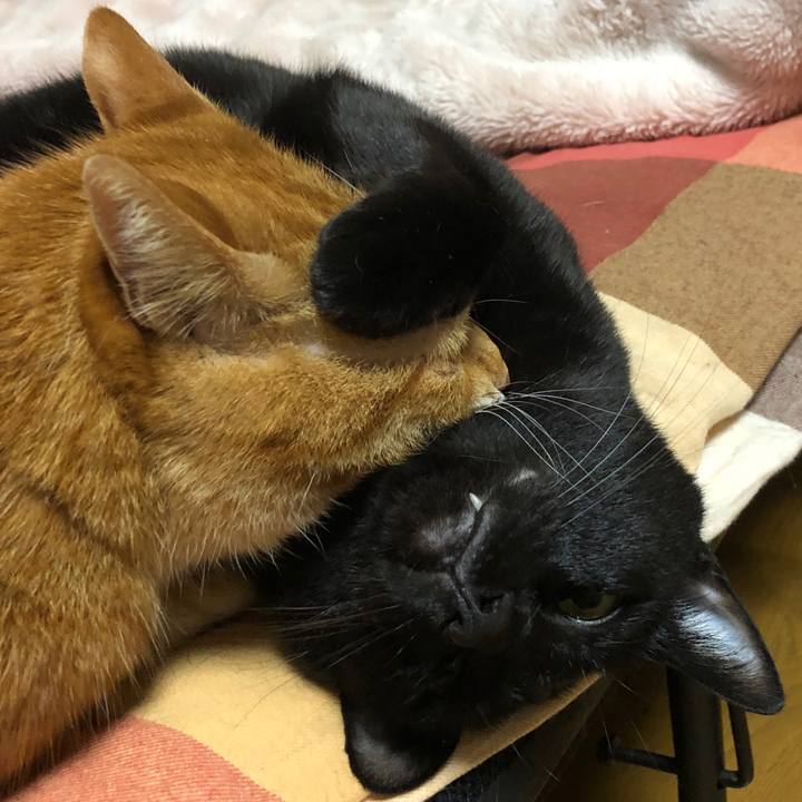 A7d47b11 128f 4f59 a3d4 243d5d310ac5 1710155955330